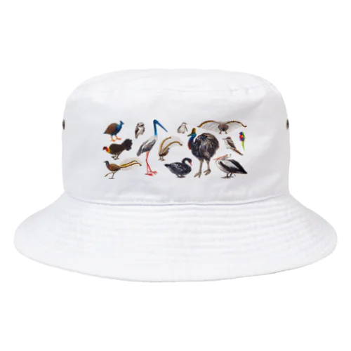 オーストラリアのトリ Bucket Hat