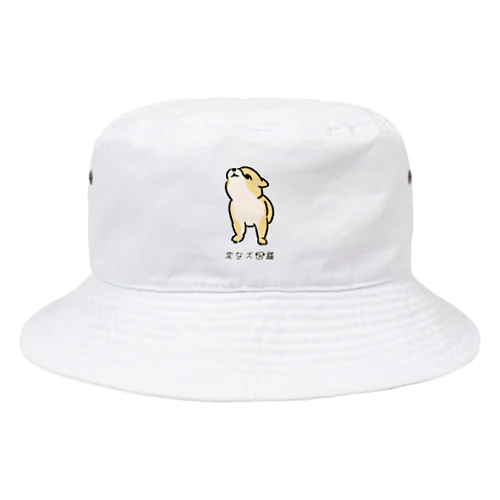 No.199 キョウメイーヌ[1] 変な犬図鑑 Bucket Hat