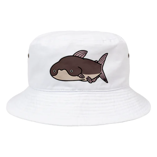 ギネスに載ってしまったメコンオオナマズさん Bucket Hat