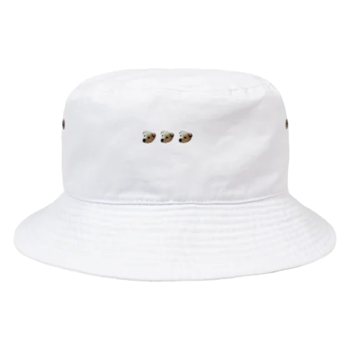 いぬ 3連 Bucket Hat