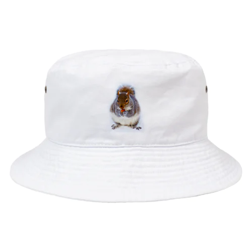 トウブハイイロリス Bucket Hat