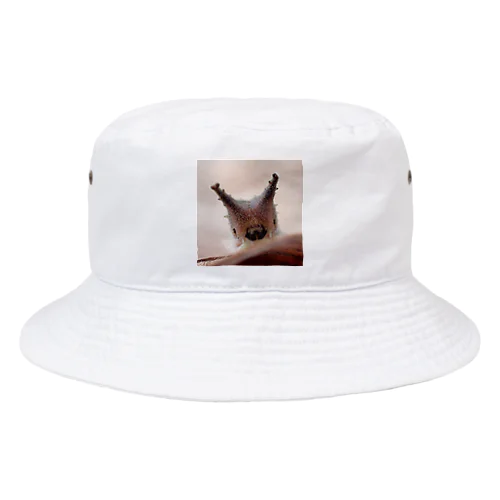 ゴマダラチョウ・ベイビー Bucket Hat