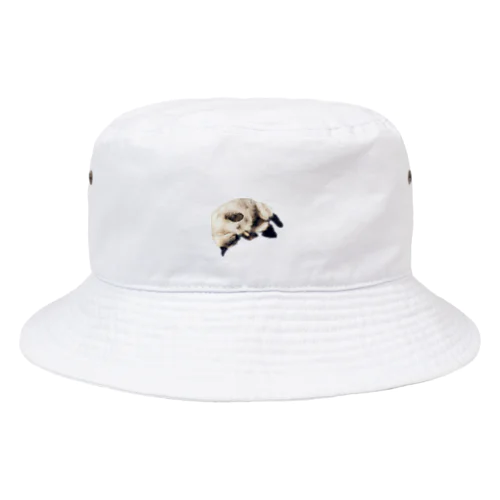 shibaholmes ポアロくん1 Bucket Hat