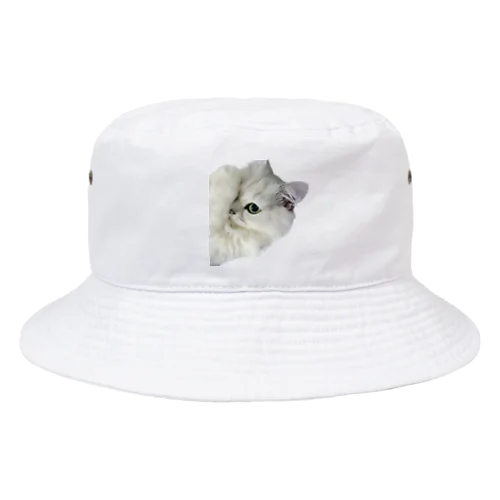 おねだりニャンコ Bucket Hat