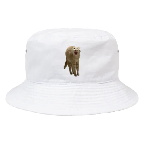 あくび猫のシロ Bucket Hat