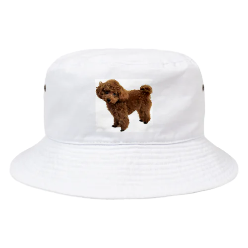 プードルデザイン Bucket Hat