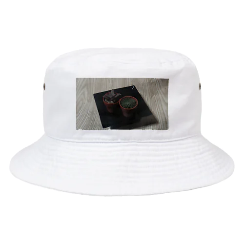 さぼてん Bucket Hat