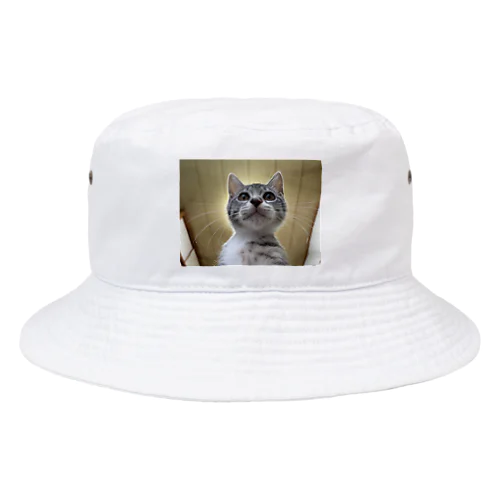 保護猫ベジータ　神 Bucket Hat