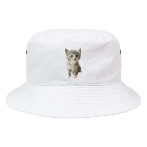 保護猫ベジータ　生後1ヶ月 Bucket Hat