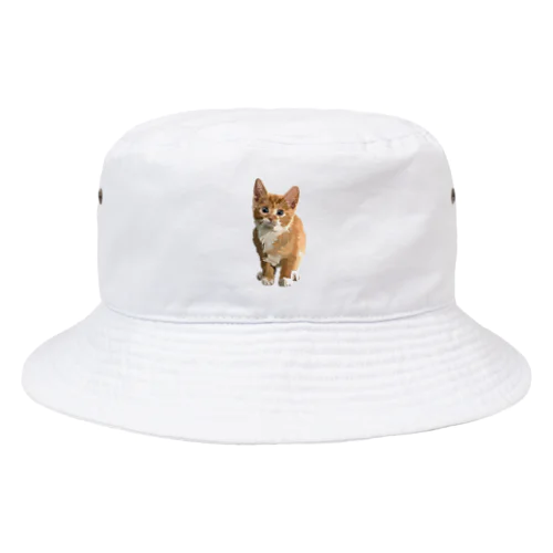 面白い猫、ケティ、猫の家 Bucket Hat