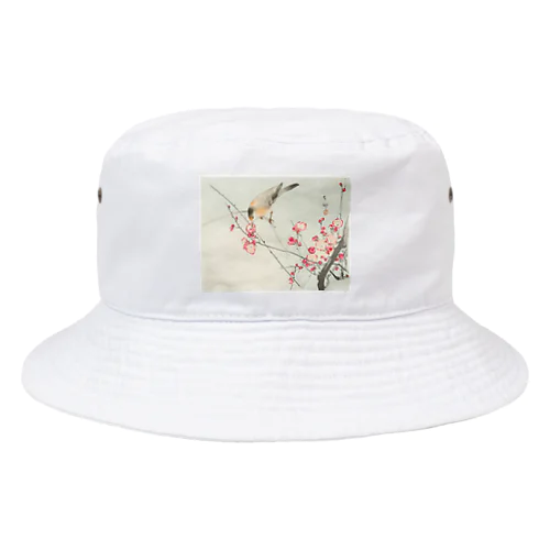 小原古邨　梅に鶯　Ohara Koson / Songbird on blossom branch Bucket Hat