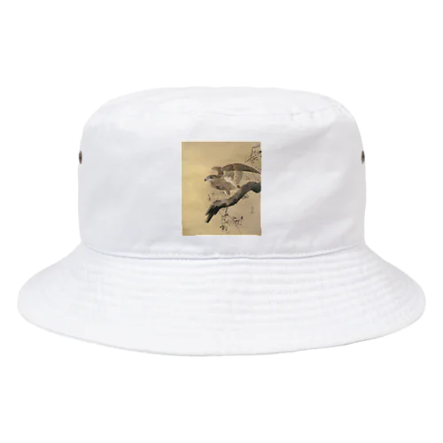 小原古邨　鷹　Ohara Koson / Falcon Bucket Hat