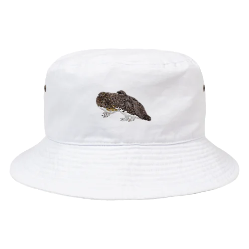 秋羽夫婦🍂 Bucket Hat