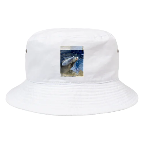 アザラシ Bucket Hat