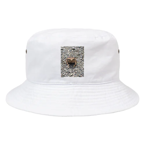 カエル Bucket Hat