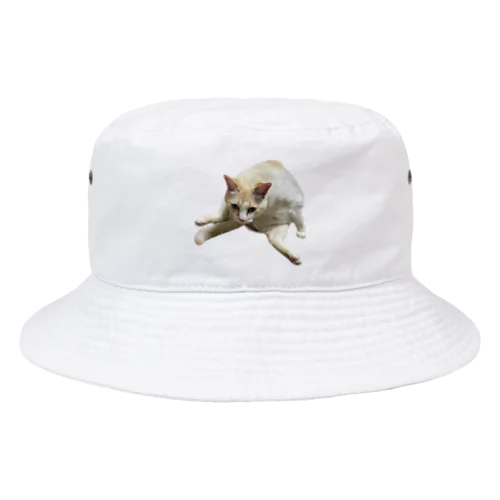 おい、いまみるなよ。なれお Bucket Hat