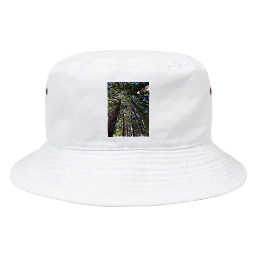 お山の木々 Bucket Hat
