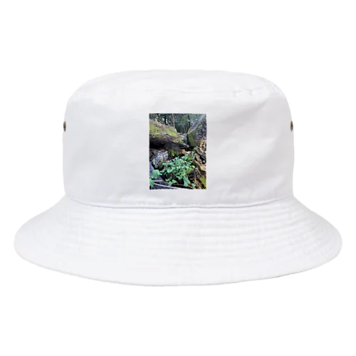 多様性の森 Bucket Hat