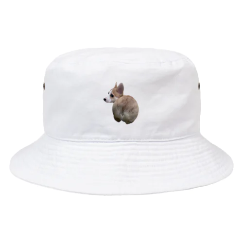 コーギーのコタロウ　おしり編 Bucket Hat