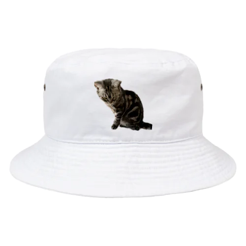 アメショーのひめちゃん⑦ Bucket Hat