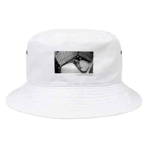 ミニチュアシュナウザー　B&S  Bucket Hat