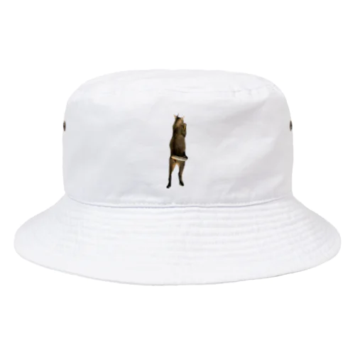 QAMALくん Bucket Hat