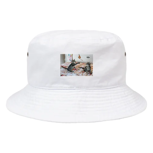 かわいい猫グッズ Bucket Hat