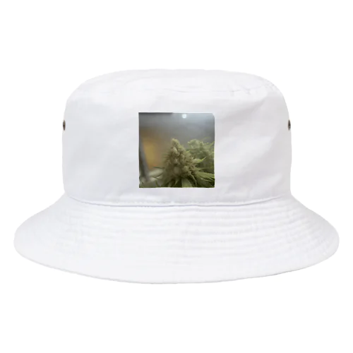 42O-0091 フォトゥオーナインティワン Bucket Hat