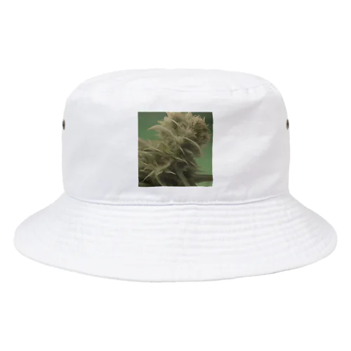 42O-0091 フォトゥオーナインティワン Bucket Hat