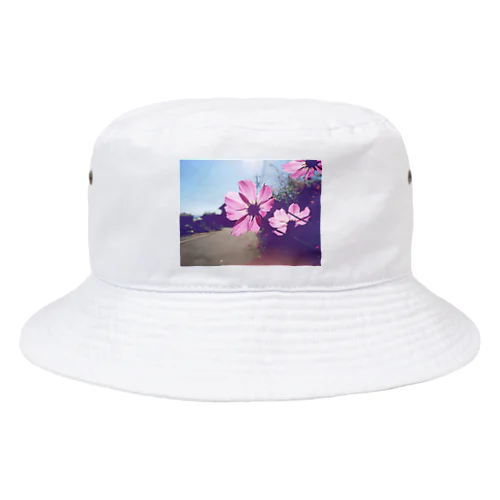 コスモス Bucket Hat