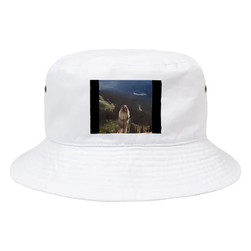 叫ぶプレーリードック Bucket Hat