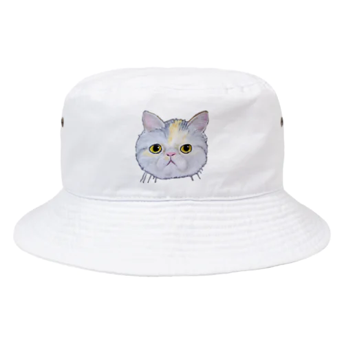 チョークアートのエキゾチックショートヘア😺 Bucket Hat