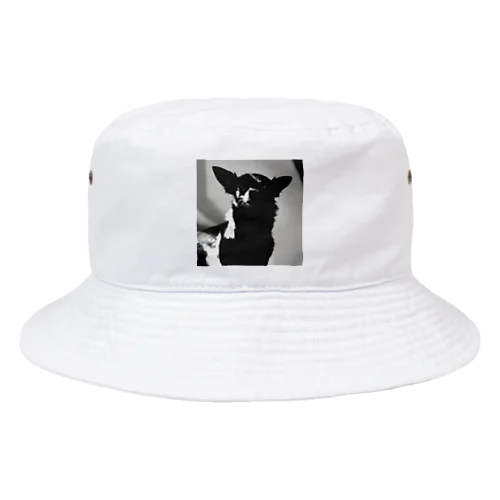 モノクローム・カノン：チワワのスタイル Bucket Hat