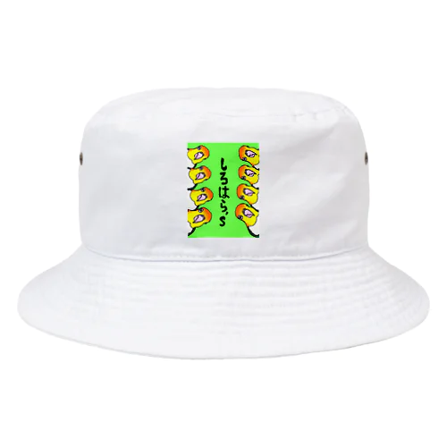 ひょっこり　シロハラシリーズ Bucket Hat