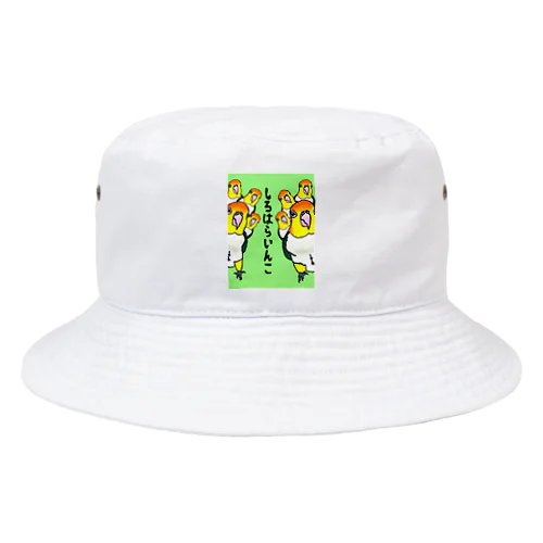 まるで花鳥園？！シロハラシリーズ Bucket Hat