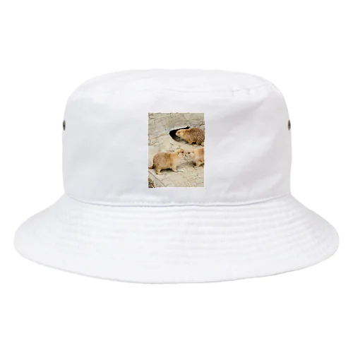 adorable animal Bucket Hat