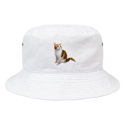旅をしてそうな猫 Bucket Hat