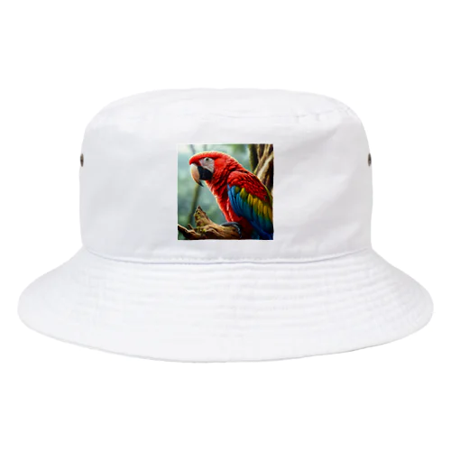 コンゴウインコ Bucket Hat