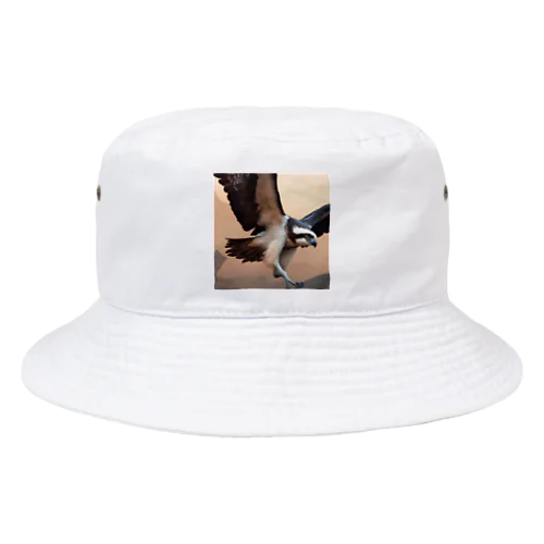 ミサゴ (Osprey) Bucket Hat