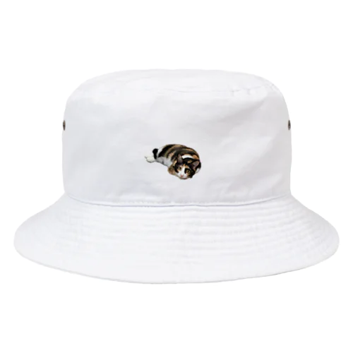 大人気のロムザラシシリーズ Bucket Hat