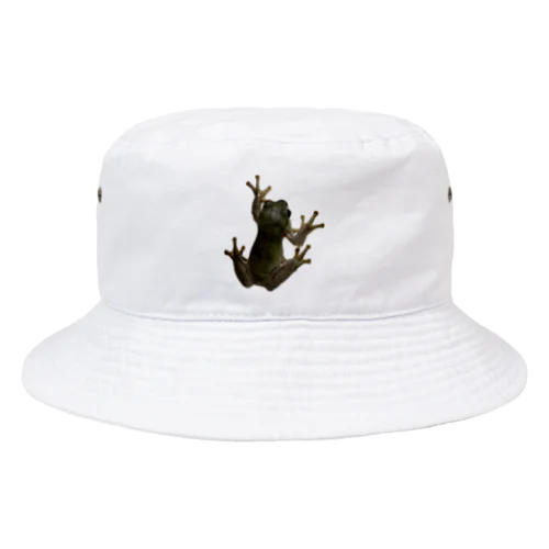 カエル君 Bucket Hat