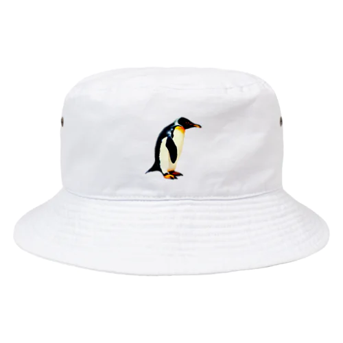 リアルなペンギンイラスト Bucket Hat