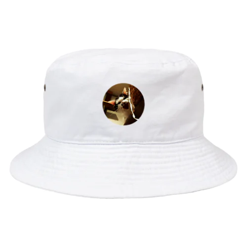 強面のねこ　チビゴン　その1 Bucket Hat