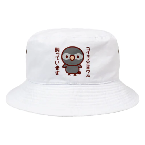 コイネズミヨウム飼っています Bucket Hat