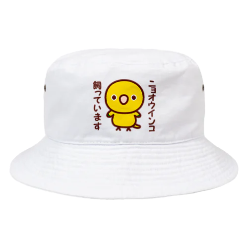 ニョオウインコ飼っています Bucket Hat