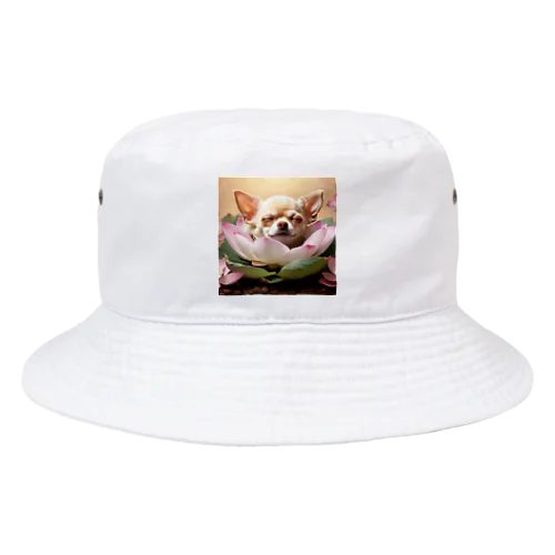 可愛らしいチワワちゃんが睡蓮の中で熟睡中 Bucket Hat