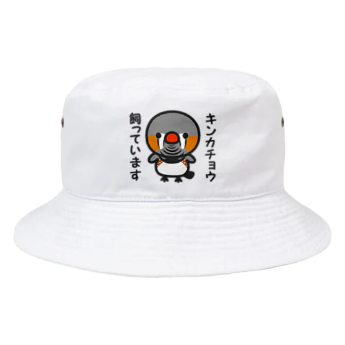 キンカチョウ飼っています（オス） Bucket Hat