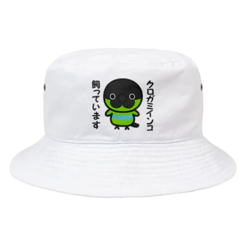 クロガミインコ飼っています Bucket Hat