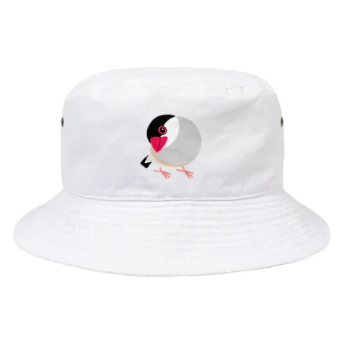 首をかしげる桜文鳥 Bucket Hat