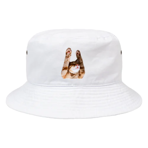 バンザイねこ Bucket Hat